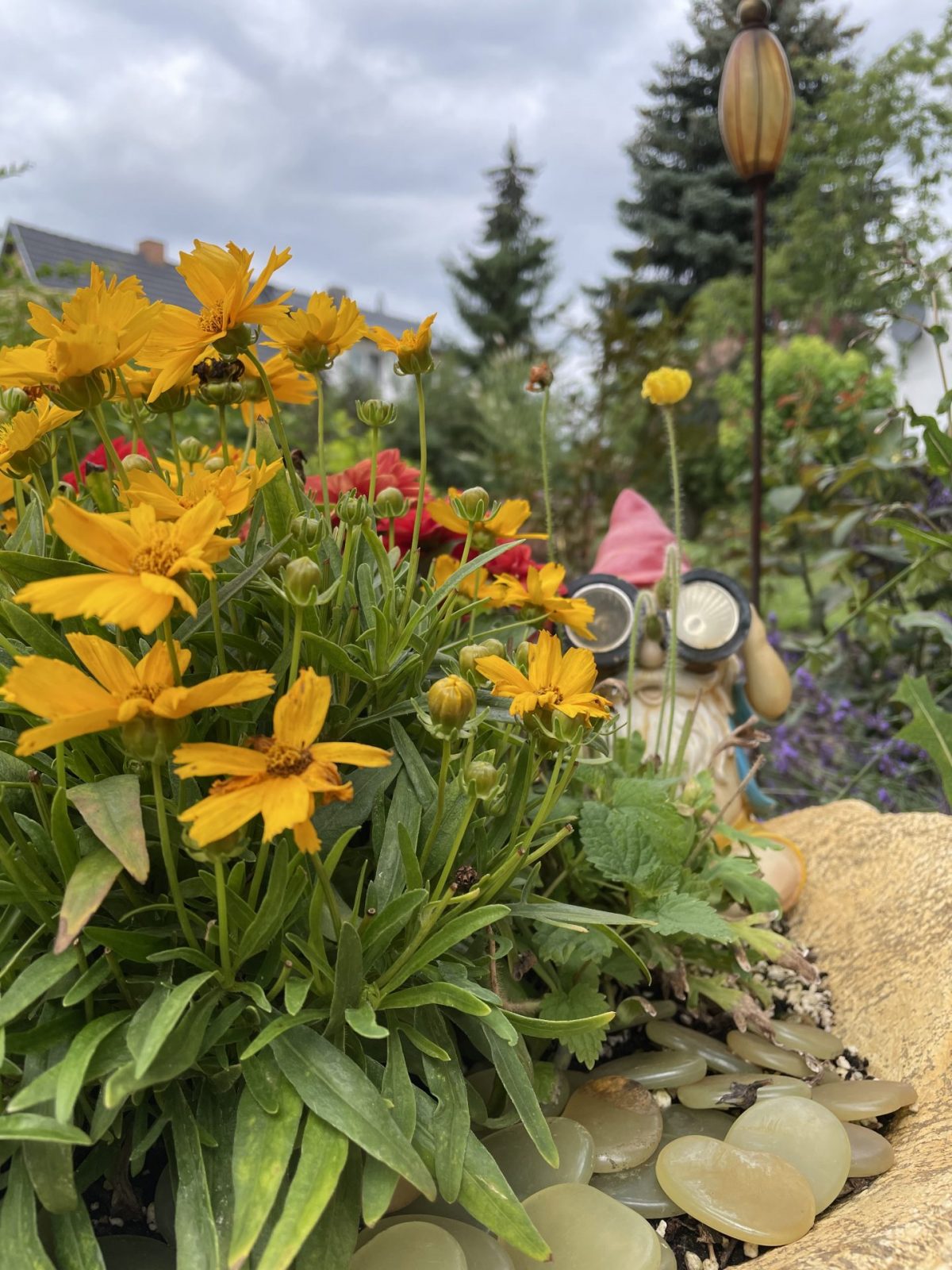 95990C76-5E4E-44CA-AD38-38F82C994C37