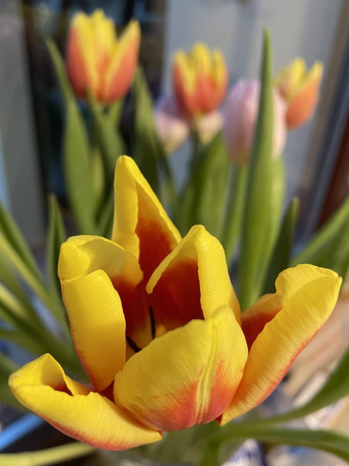 959FB06C-2F99-4C05-AAFA-A7BE3594AA19