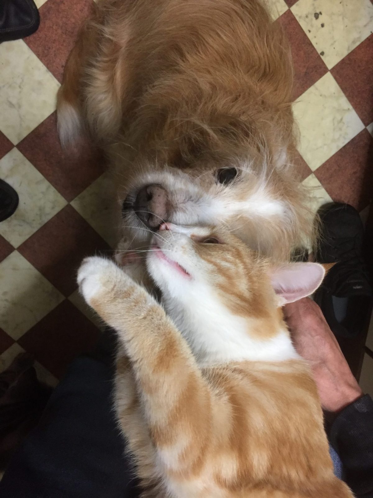 95E5124E-05AA-4E54-86C9-8027F4F14A8F