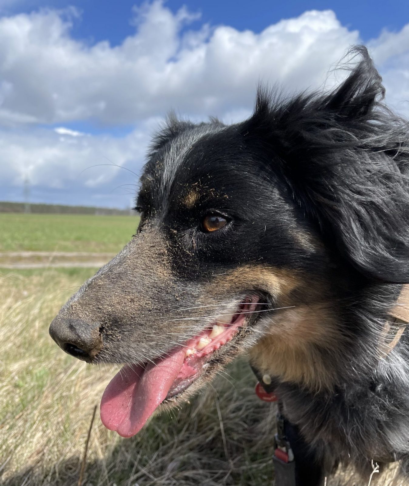 95F4ECF5-C5A7-4C59-93A6-14F2FADD0CF0