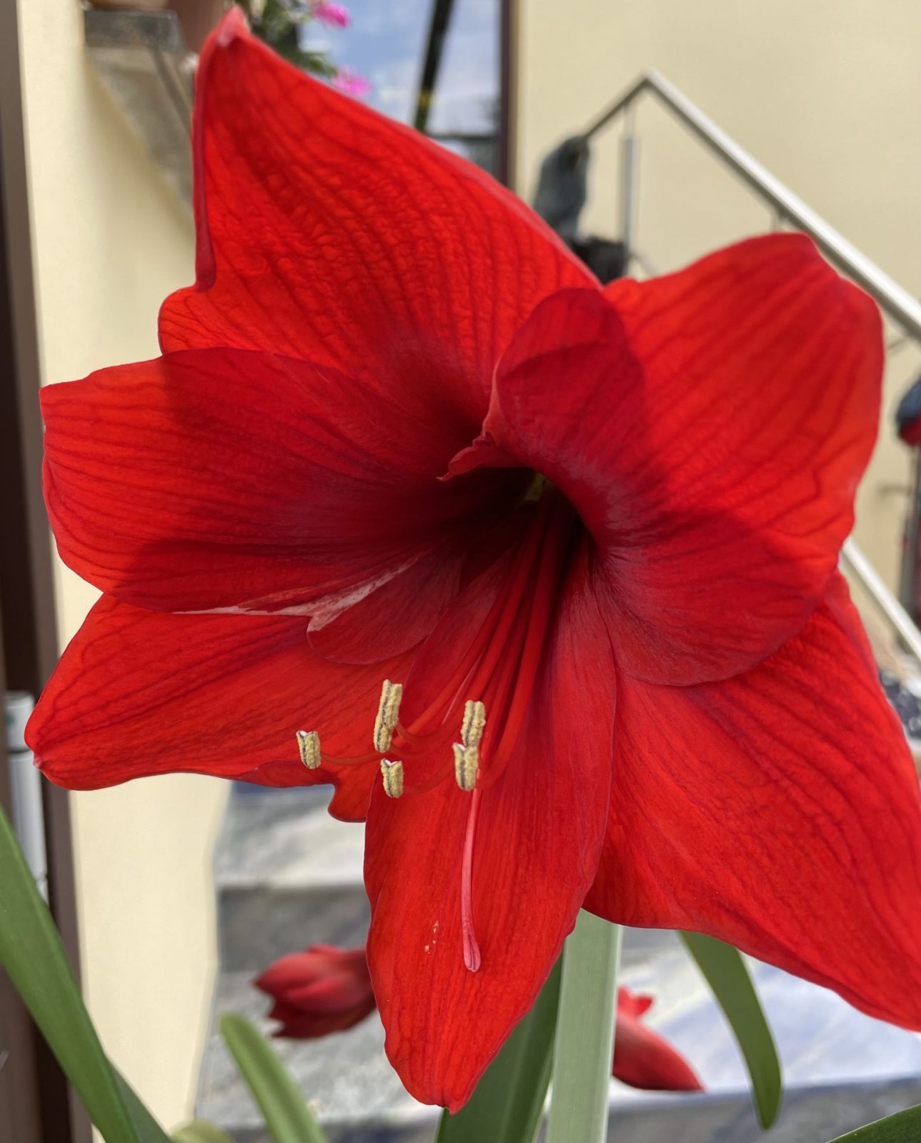 9622A537-145E-4F37-AD2A-694C6719977F