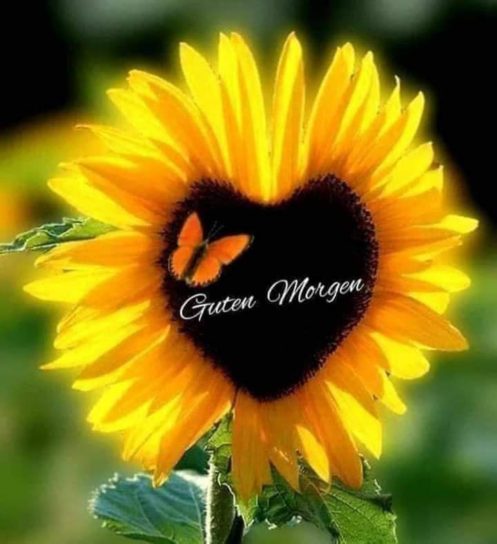 9631C55A-A338-4092-AA0F-4F383456D86F