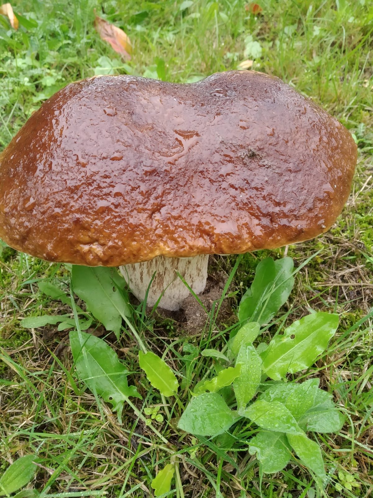 9635B07D-EB3D-4E71-B749-5D16C3EB9382