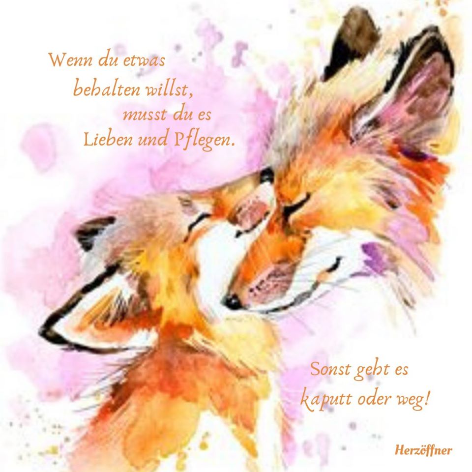 96541436_1604380136393271_7989597416418443264_o