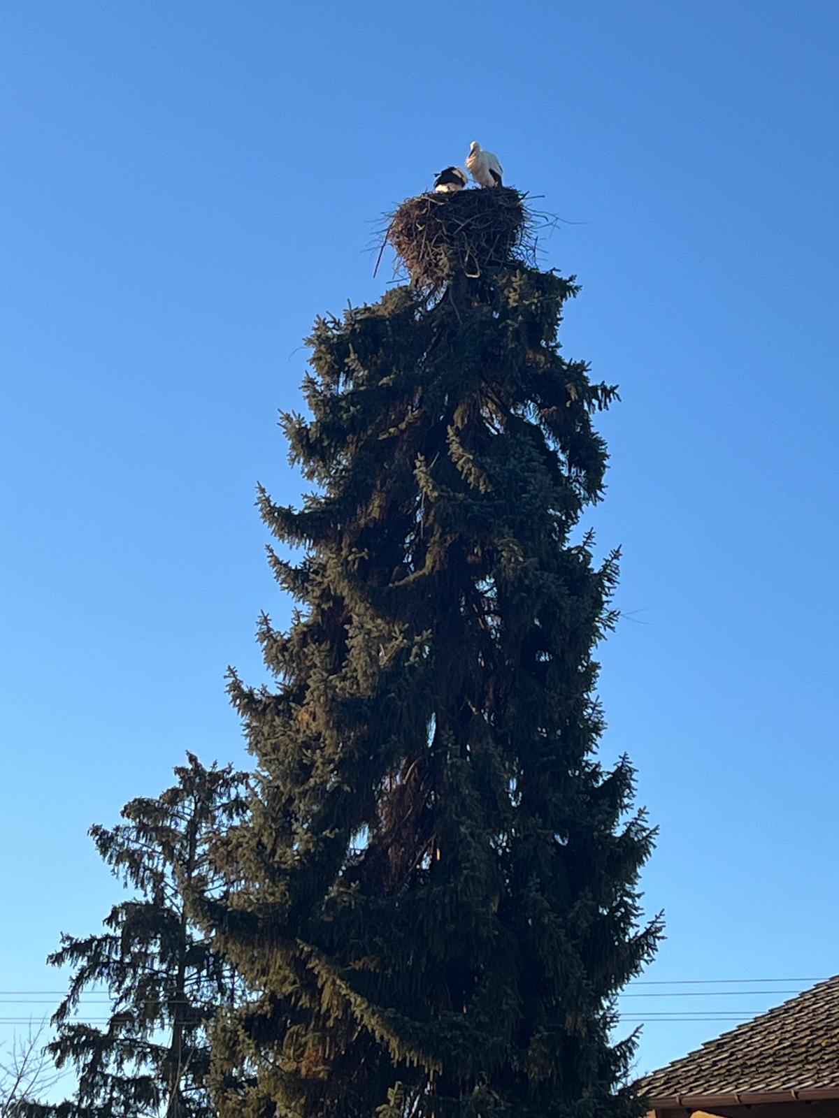 96821ff4-e3fe-4740-a34e-1614e3479d73