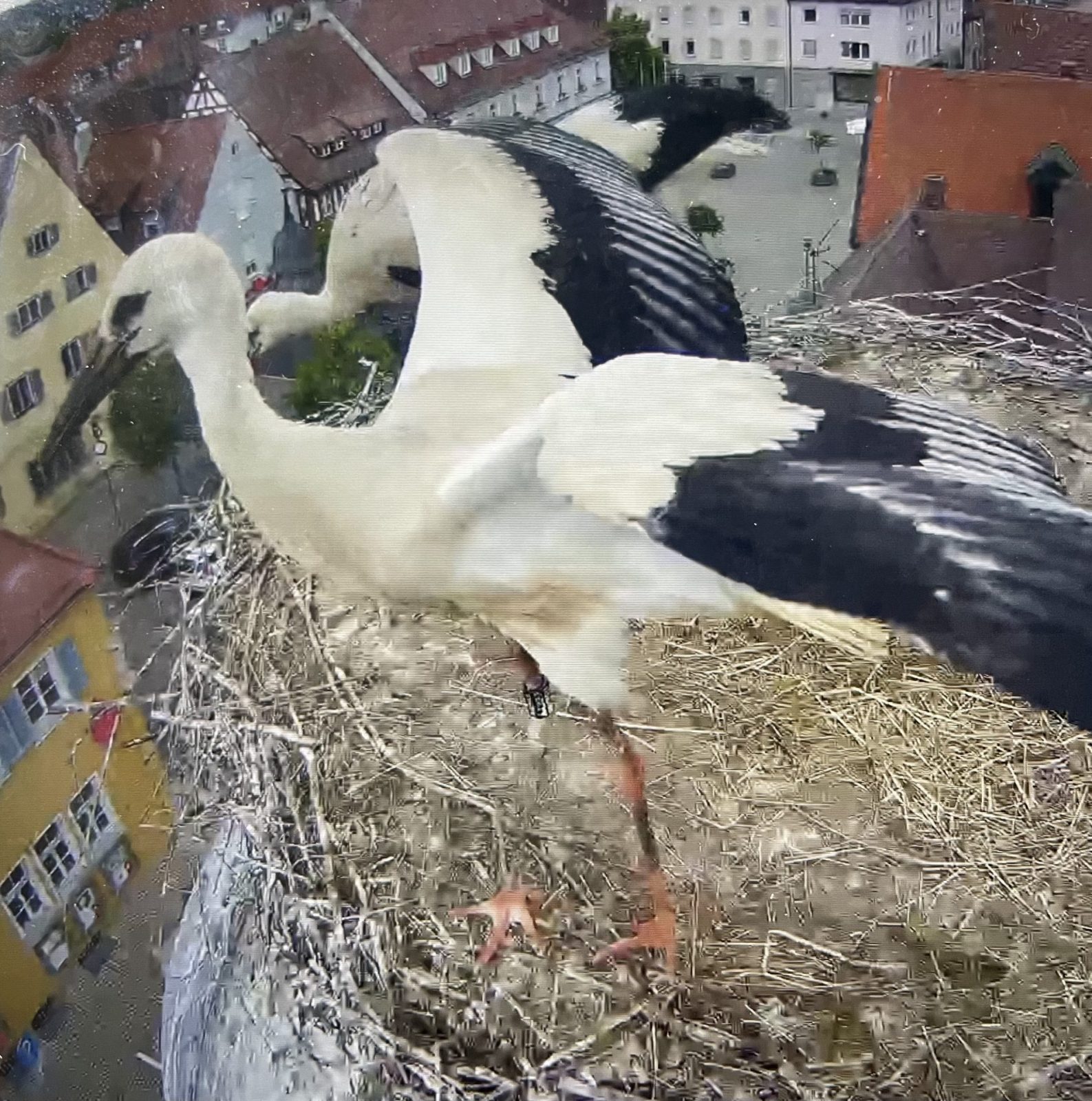 968F66B3-FA97-4EC7-900C-16F99A9592A4