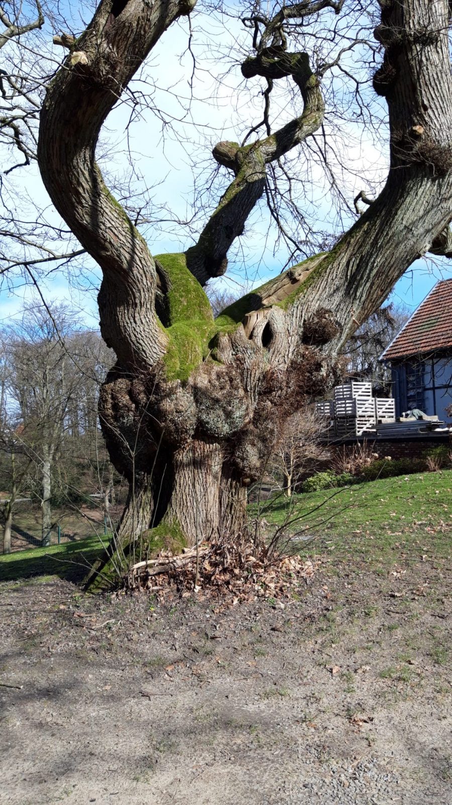 969ebb9f-b0dc-483d-9693-e32acc3fcd48