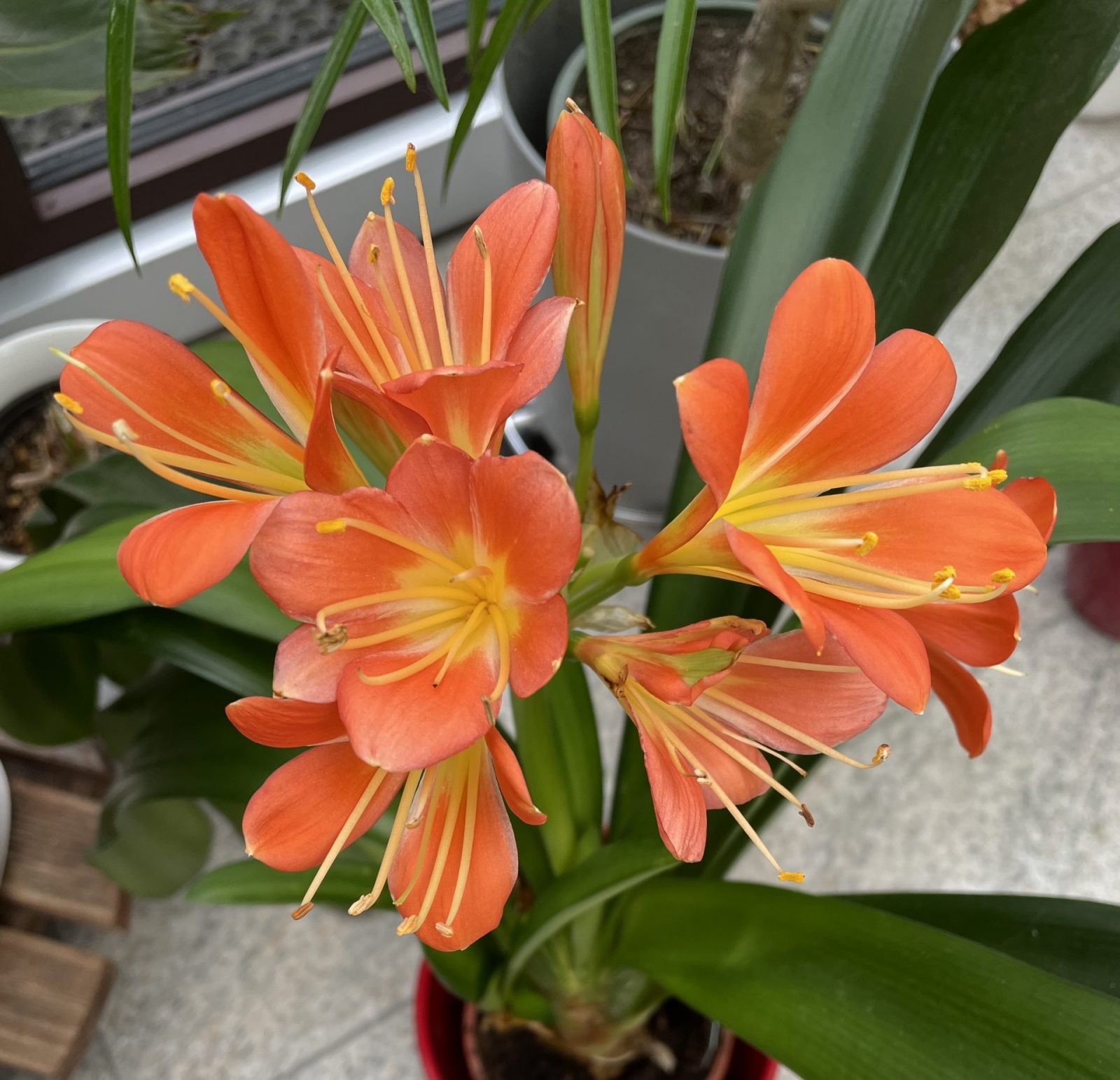 96DBE283-60F2-4149-8FEF-328E647FCA6A