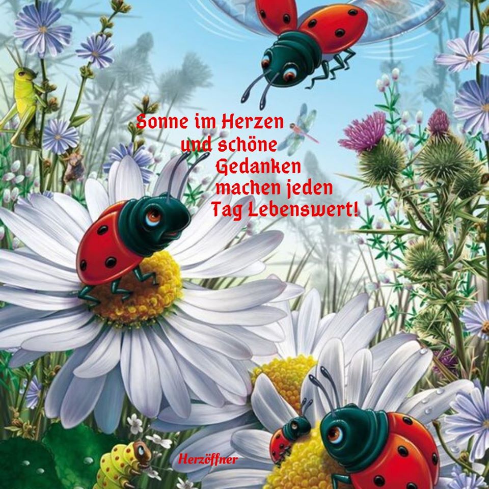 97142138_1606827806148504_3921447987565297664_o