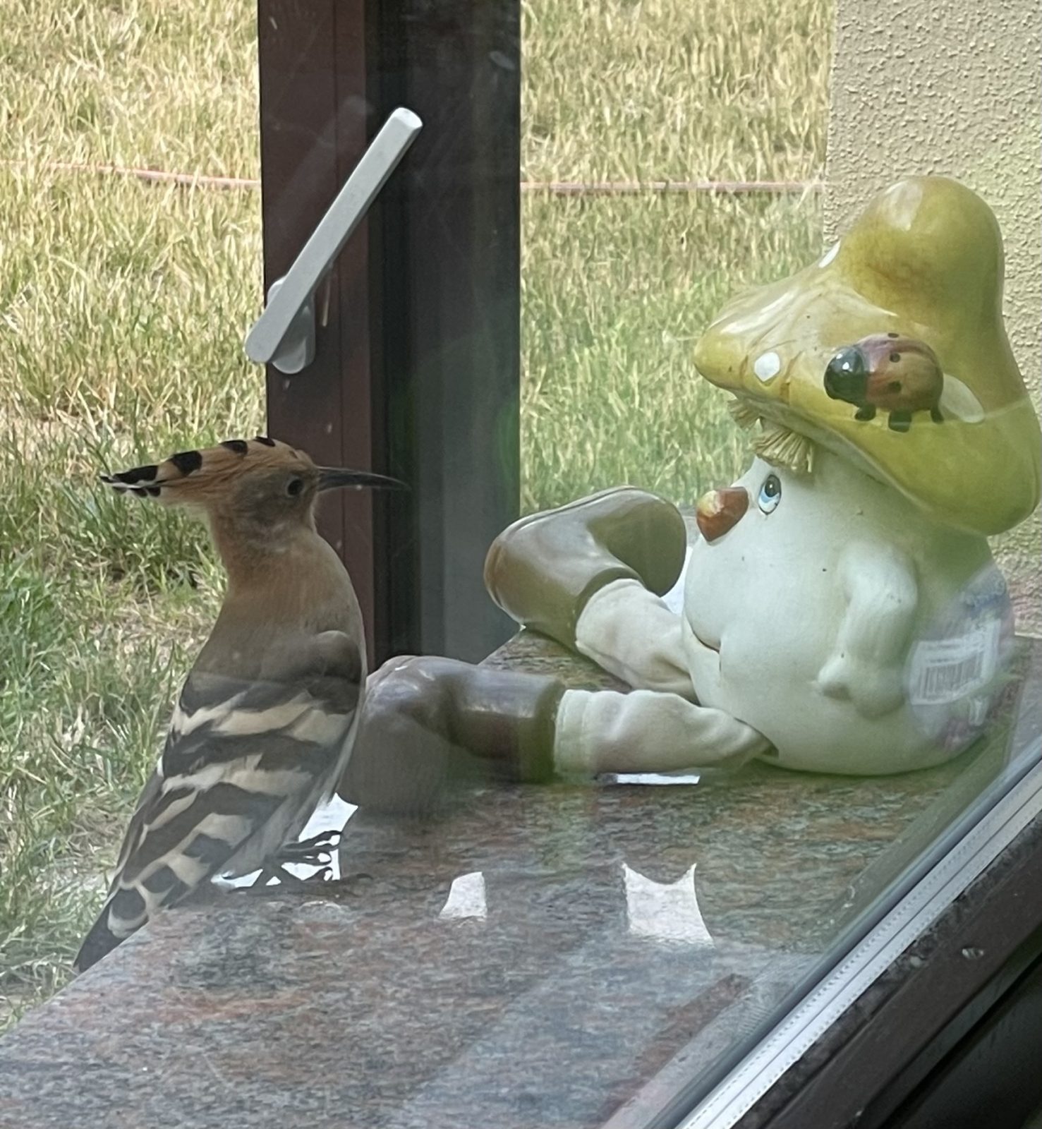 973B1751-BC87-4BAA-A14D-FB1B2AADE401