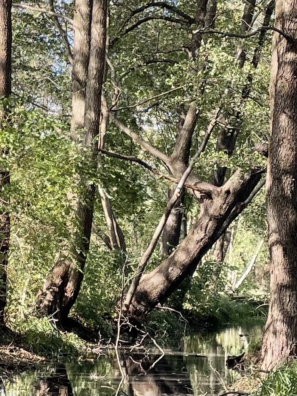 973D319B-C00F-43B9-87BE-8DA06135C483