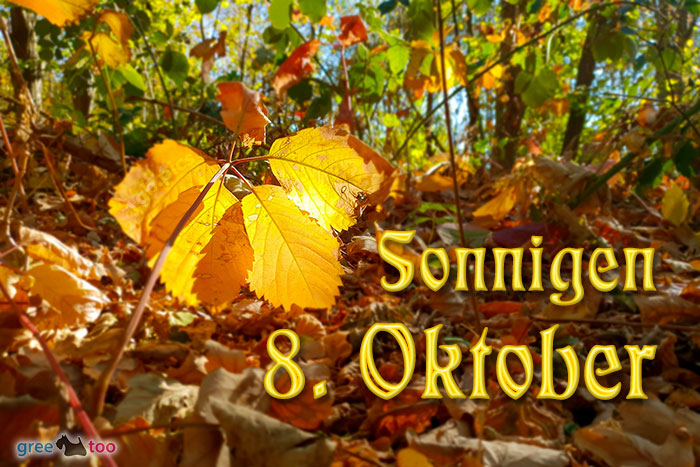 9765-000310_sonne-herbstblaetter_sonnigen-8-oktober_1gb.pics