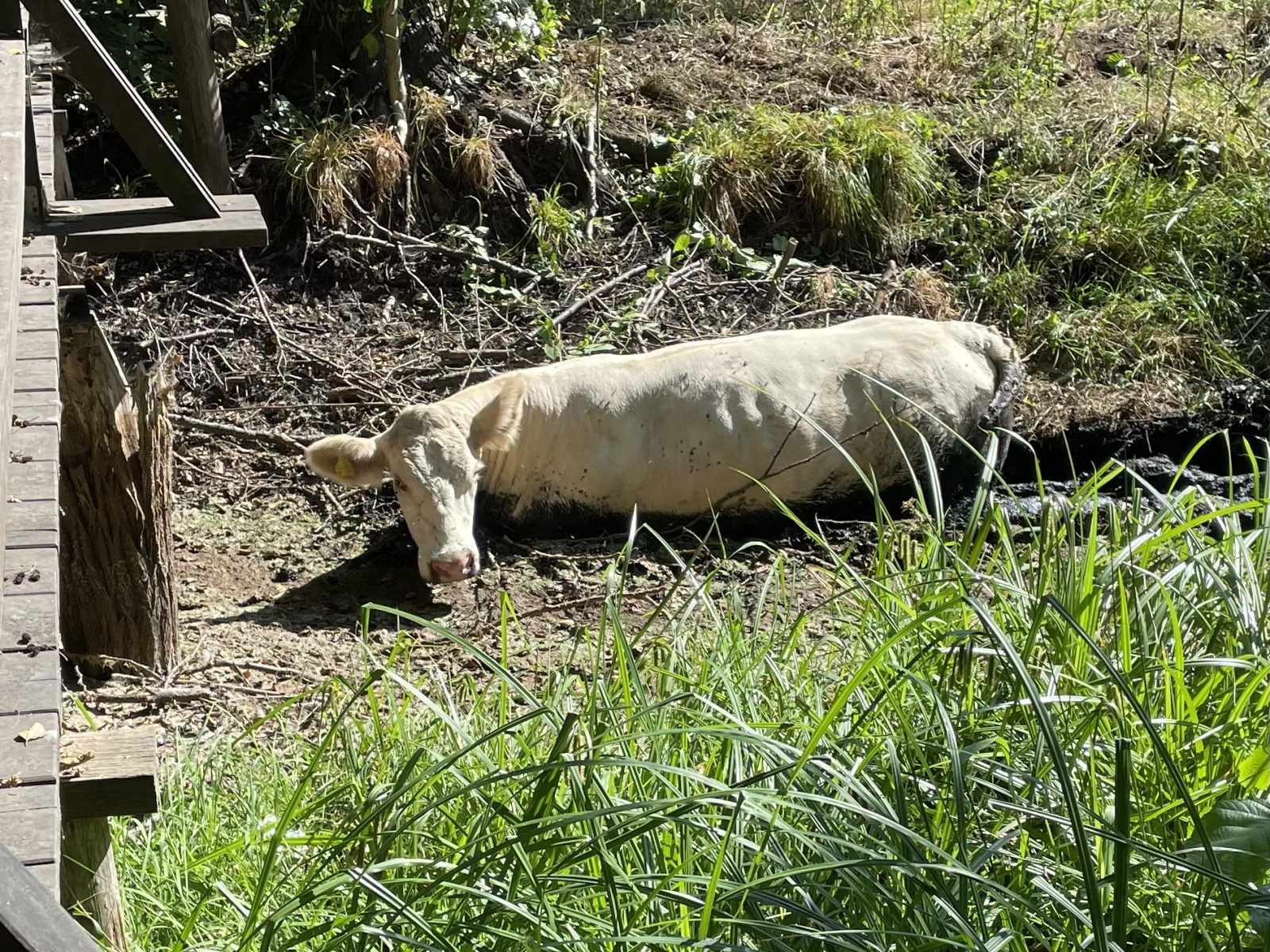 97704512-5FB0-41B7-8FC3-F958157F9F31