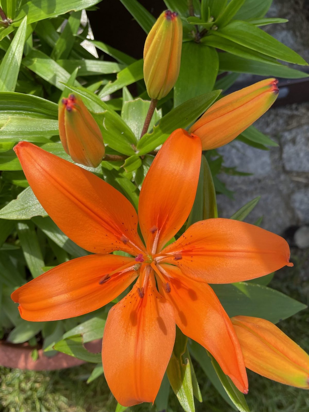 9779A313-AB2D-4BC3-A033-D313D56B5CE3