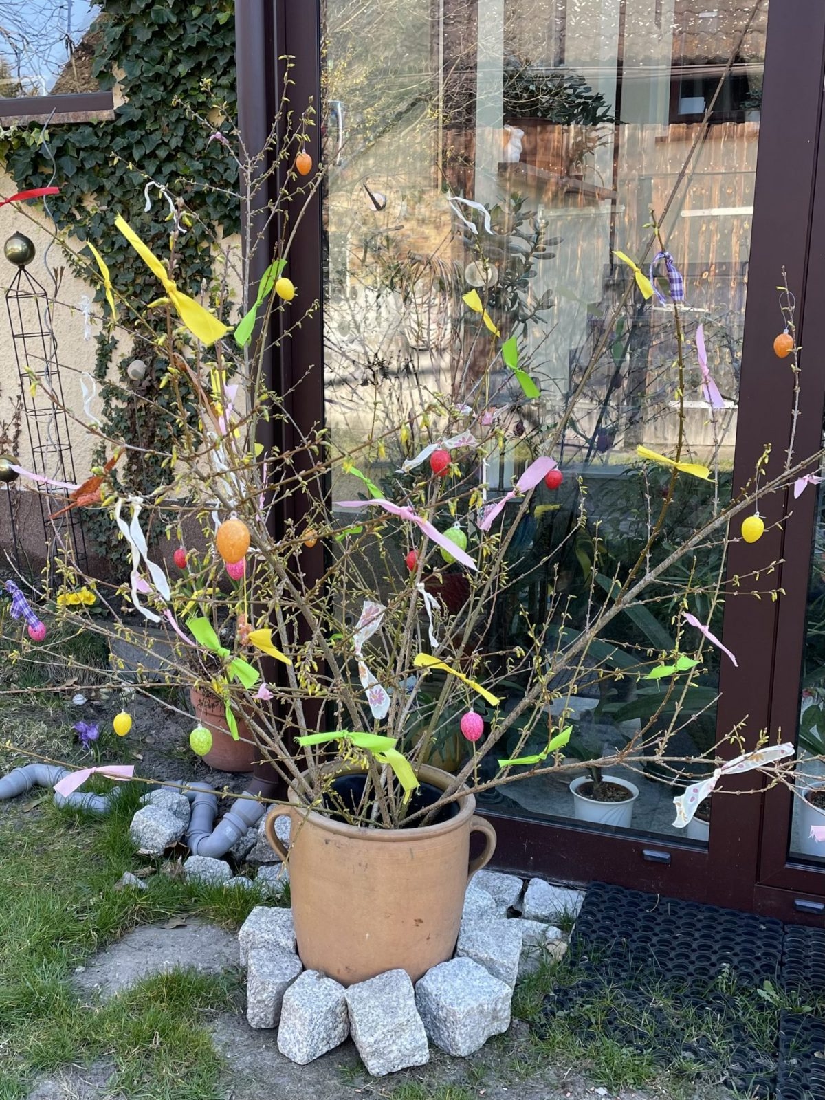 9780097C-DA13-440F-A569-C266811F732E