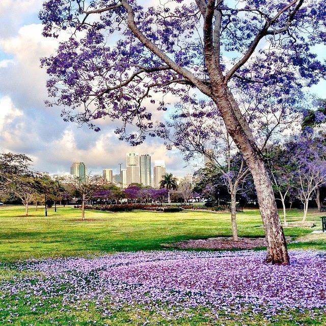 98003079_1535872156581220_293178981635588096_n