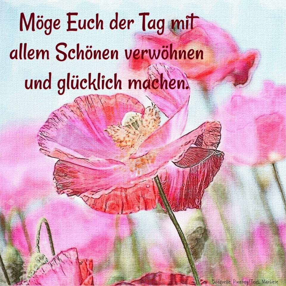 98197312_1311172475755156_4222352636113846272_n