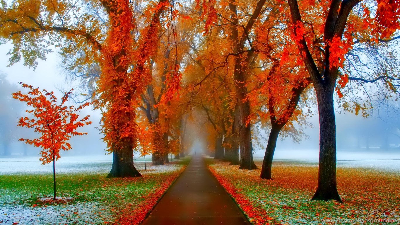 985532_november-poland-hd-wallpaper-get-it-now_2048x1361_h