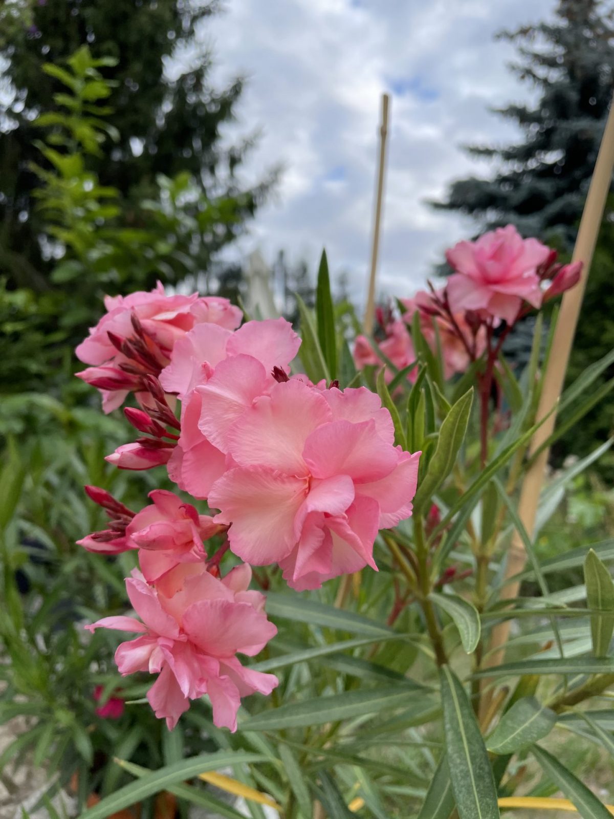 98924844-6D48-4218-9E6D-3EA690122B20