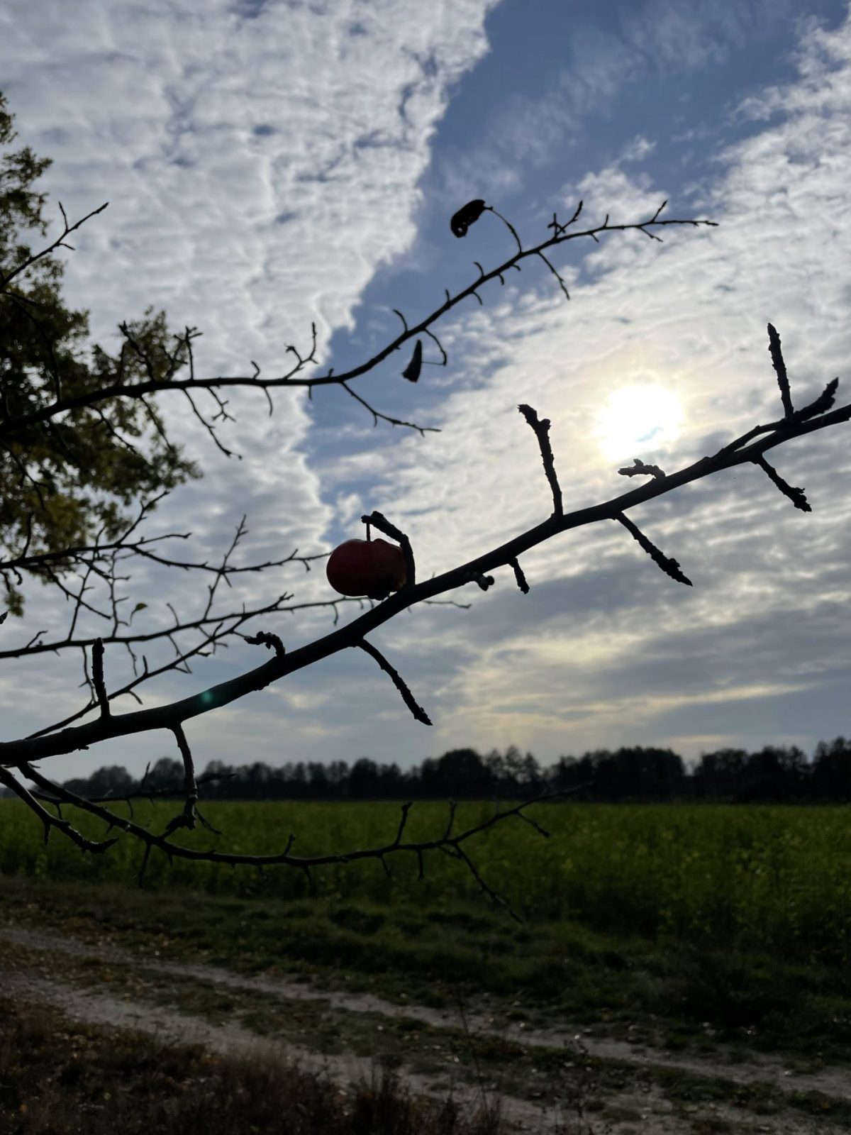 98B2969B-95FE-4FEC-9CC1-7B3E337A9977