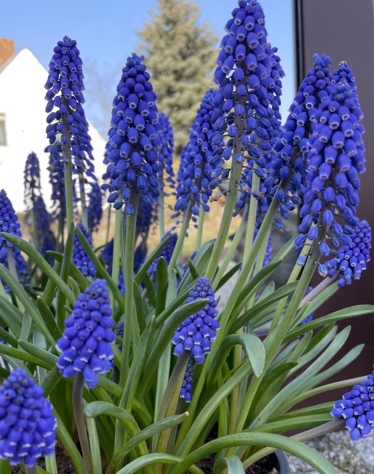 98D1C07C-C59B-426A-98F4-8D128C08A893