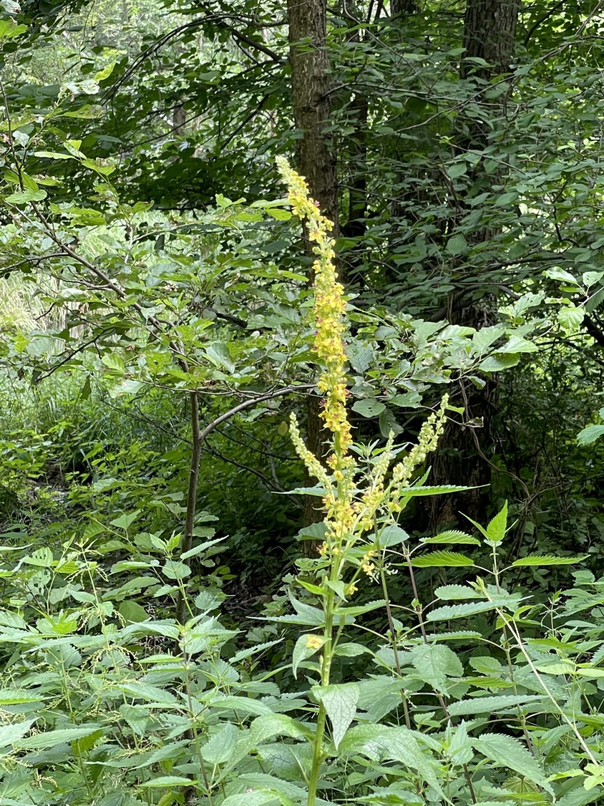 98E1FC90-66FA-4094-9E80-9E7BFDC442D3