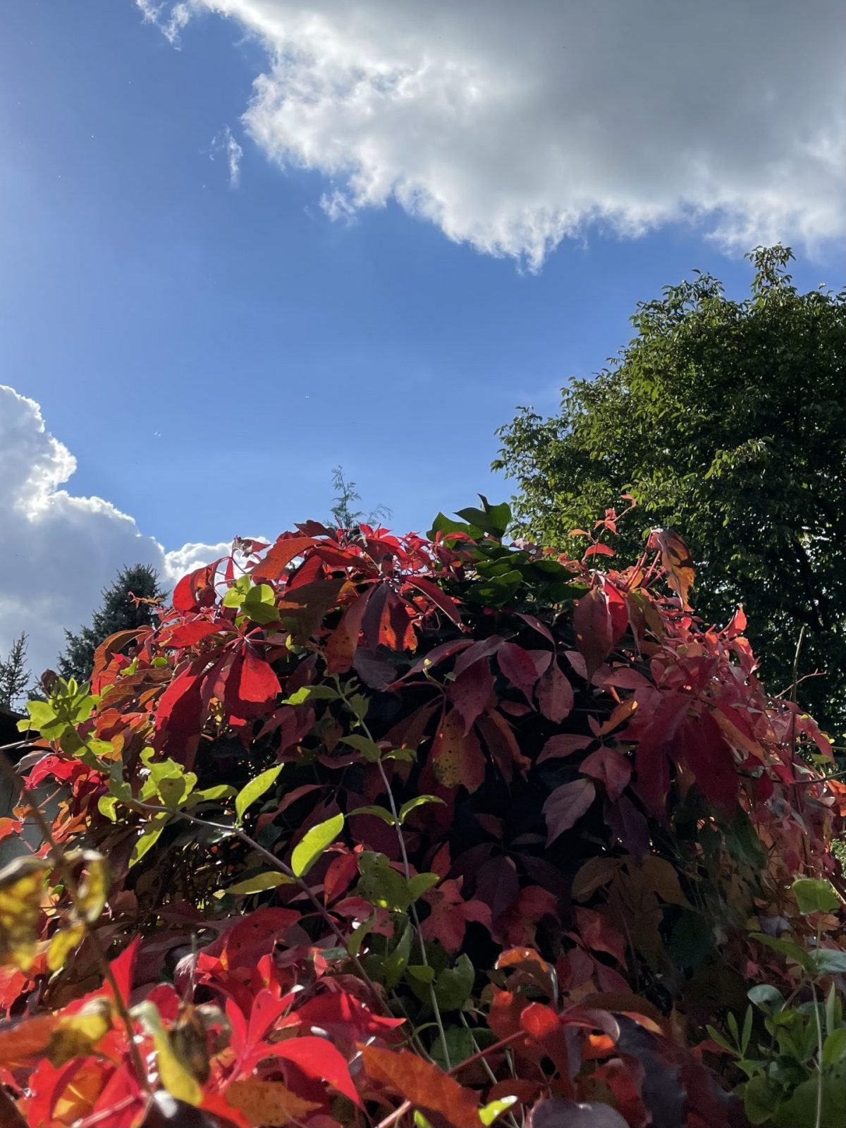 98EB5EE6-EA14-4B35-8AC4-F156BC237996