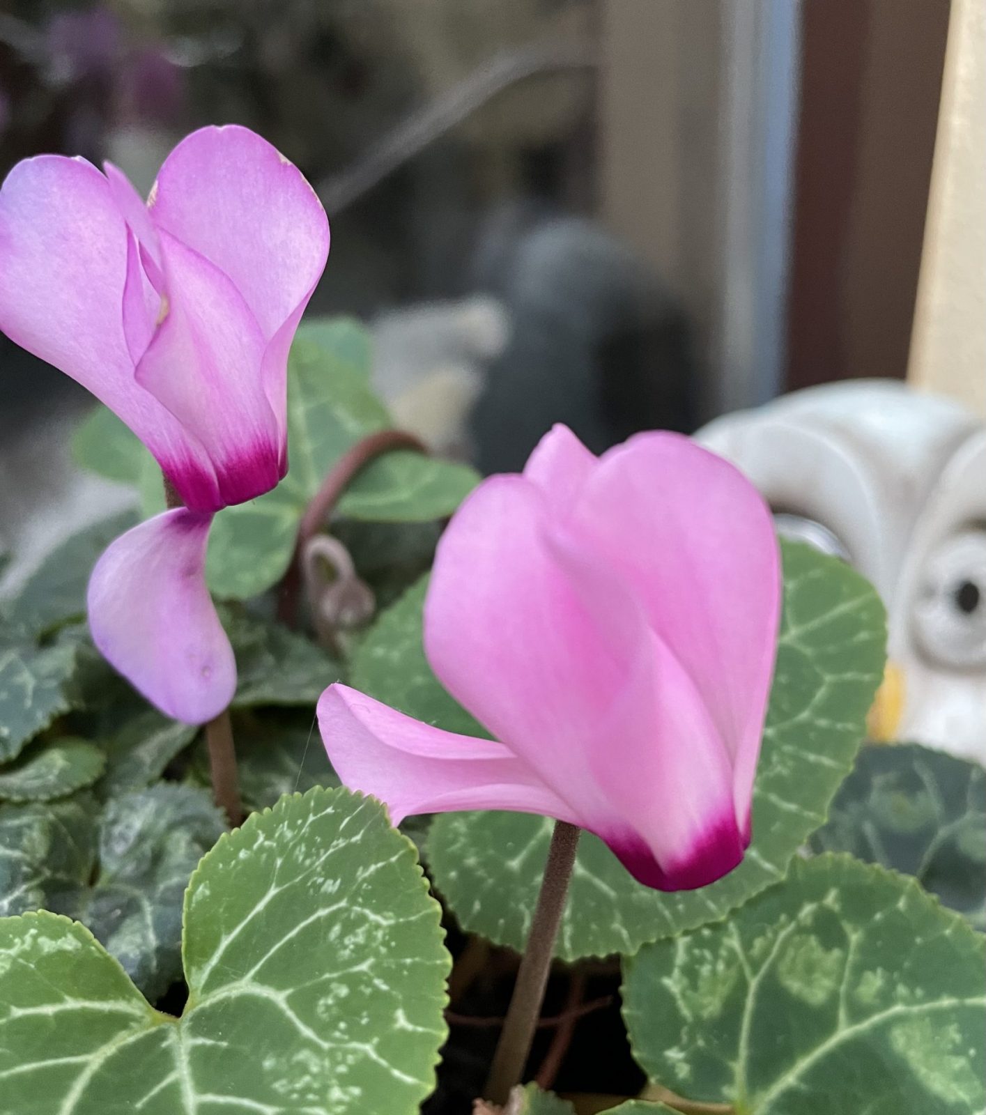 98F20ED3-A884-4FC7-BB34-9242F4EBAA58