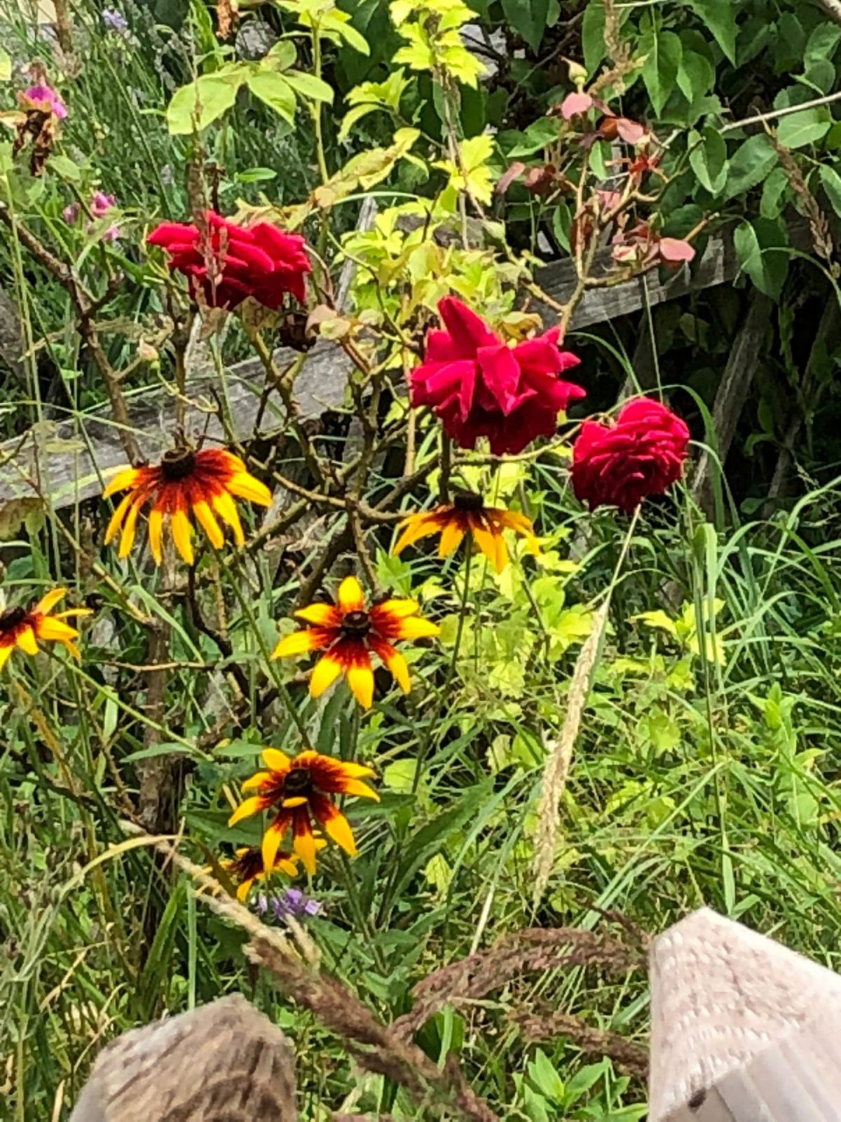 990c3723-f895-4002-88ca-bd2c7dc89aae