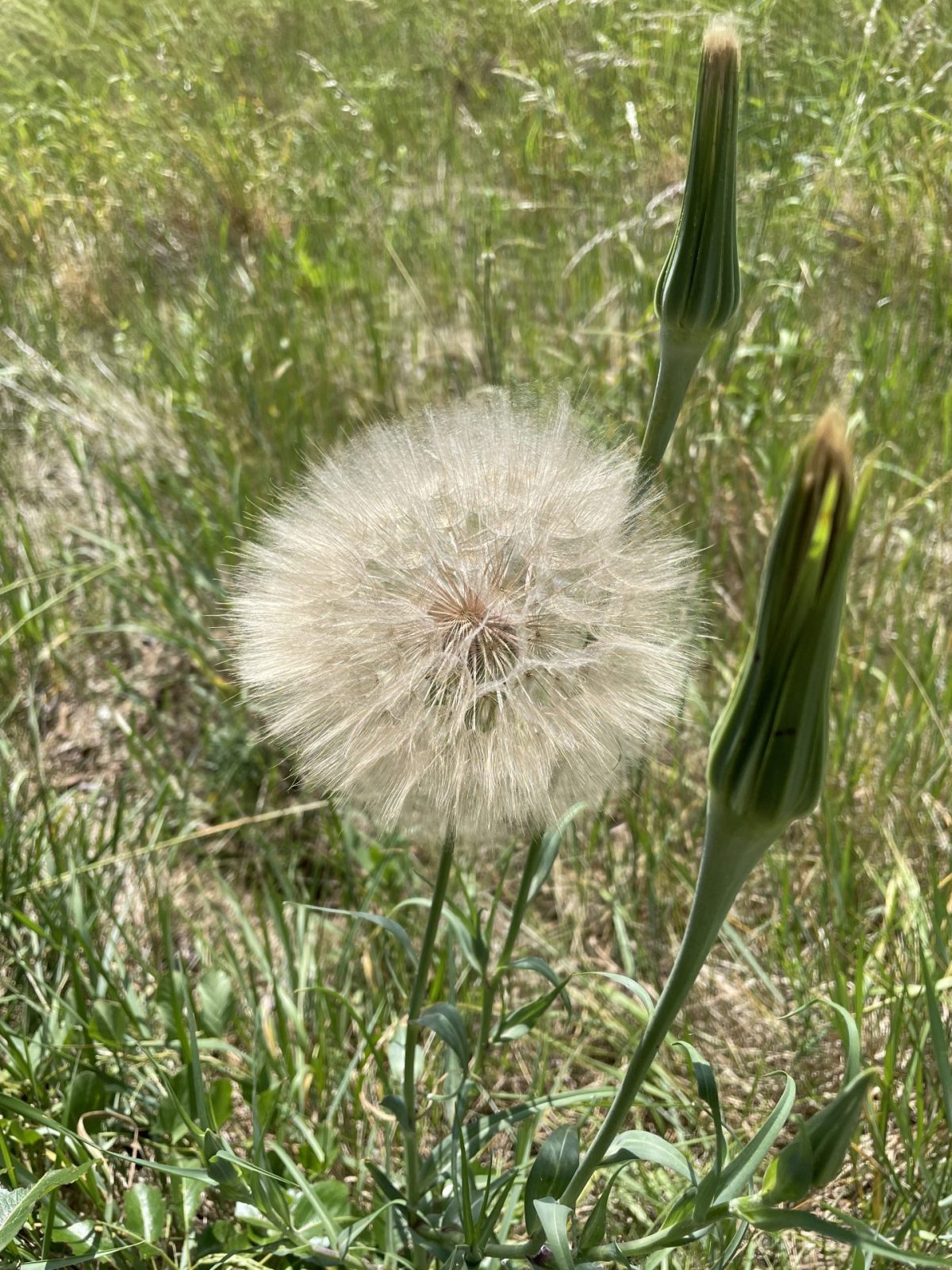 9923C2B3-1F61-4854-A1FC-D26EDFCF8C6C