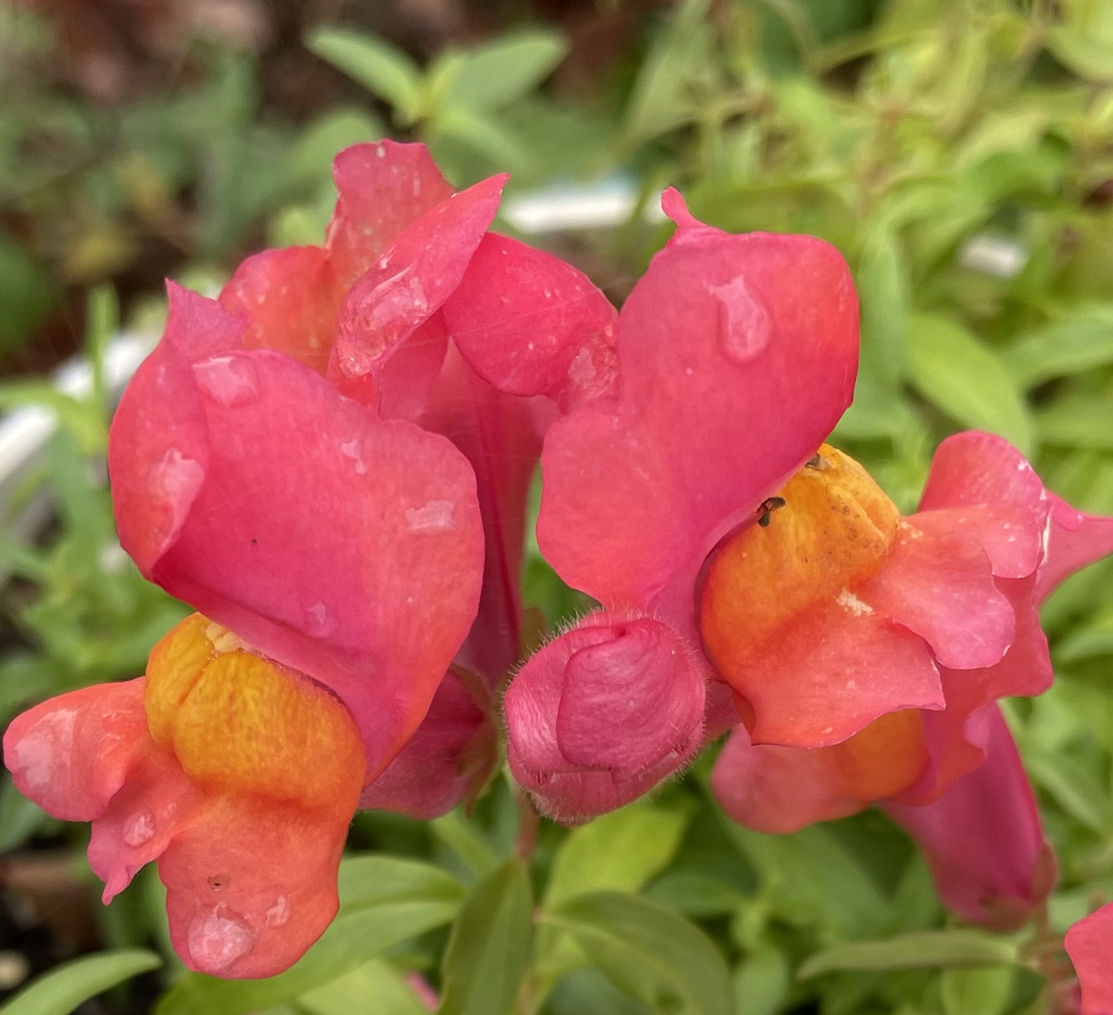 997B9748-8F87-4D2F-B55A-9A5DBAF5E12A