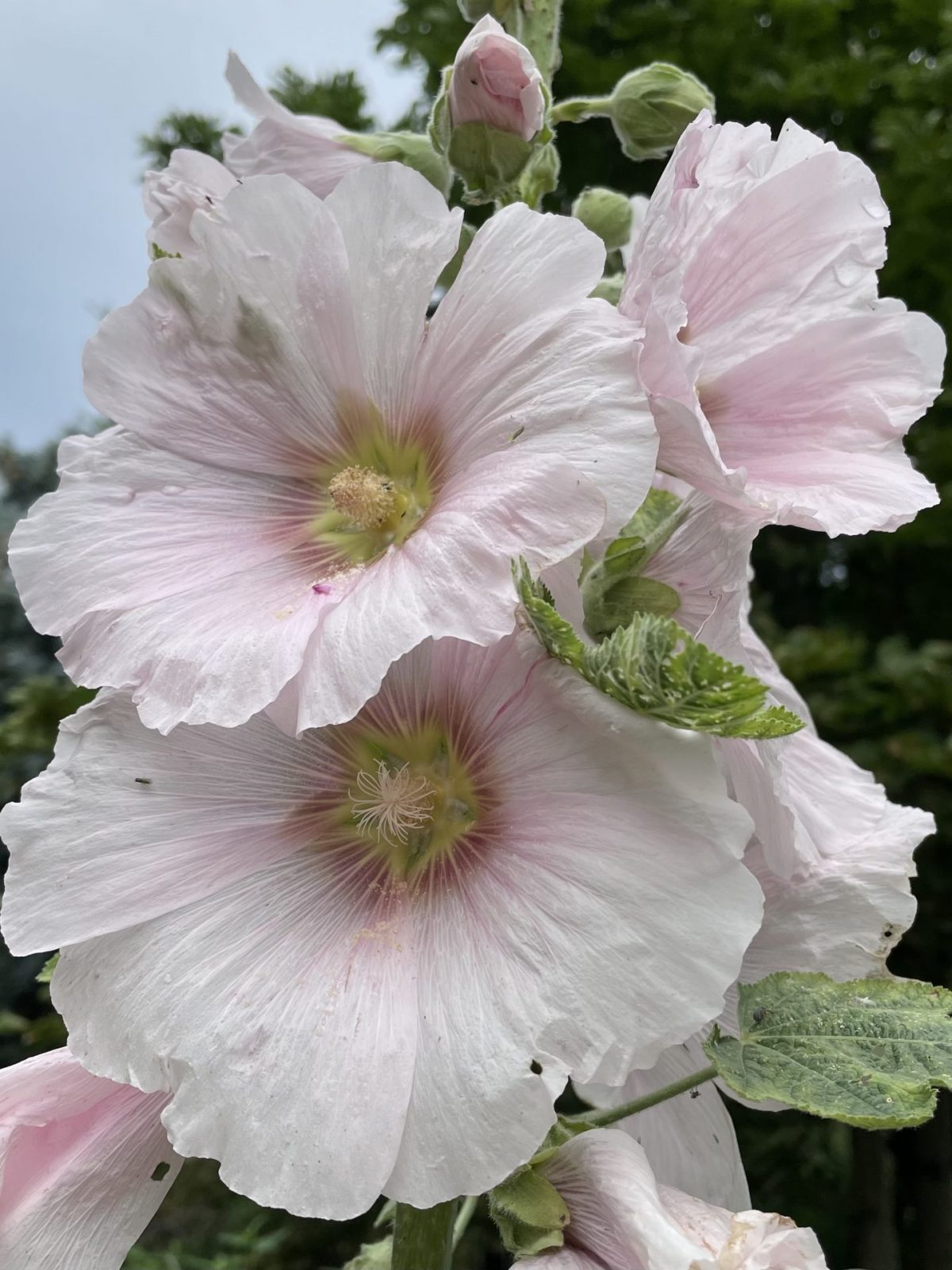 99815DC3-21FD-4689-BF30-30670D6F831A