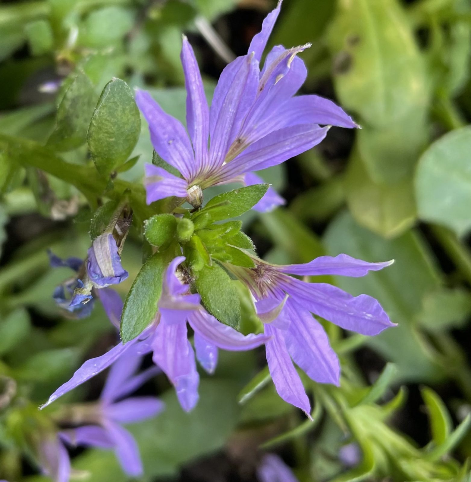 99AE32AA-F54D-45E3-AD3A-1A55CBFE4A79