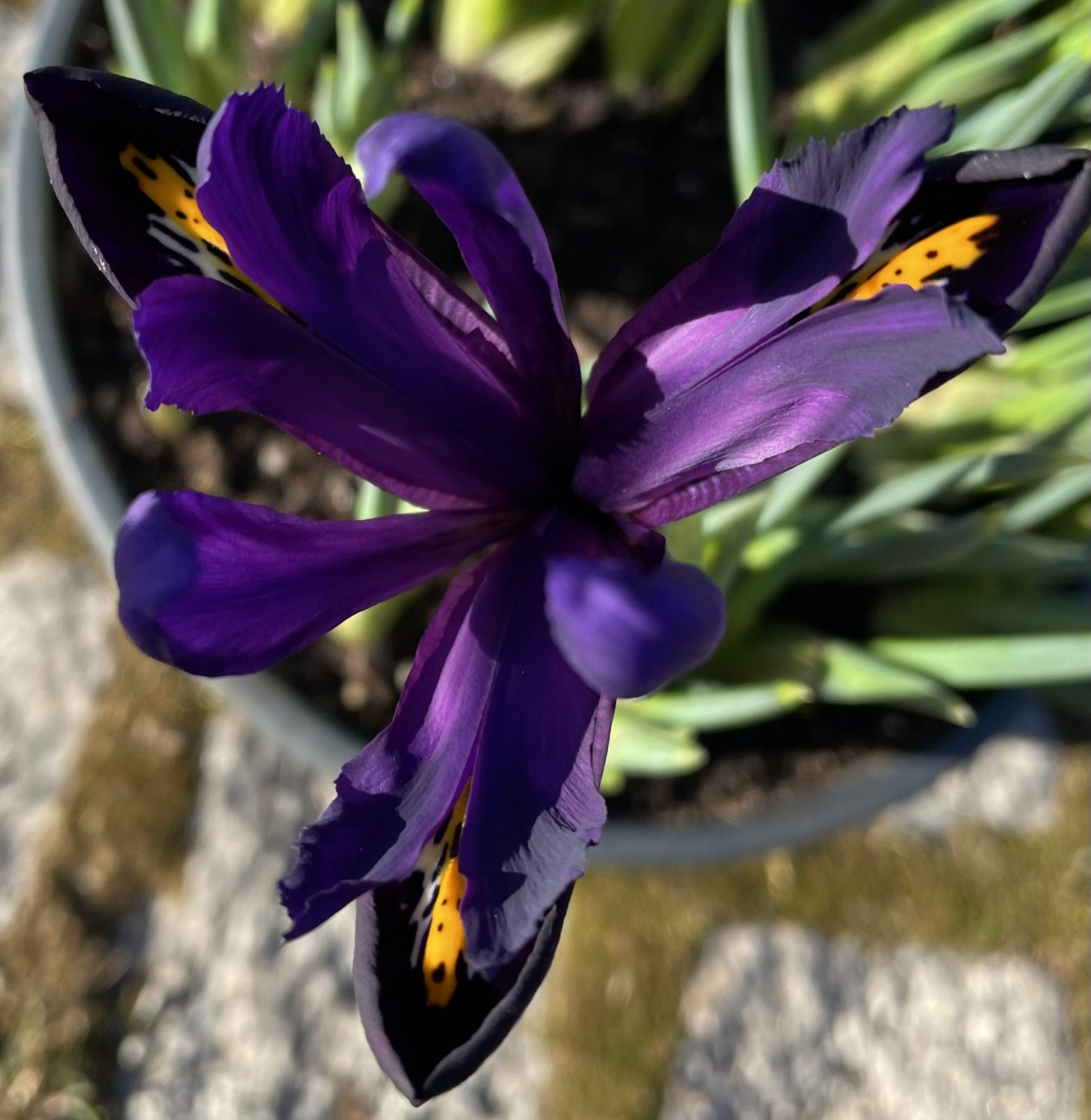 99B68961-CD70-4AEC-96E8-122CD47AF9F0