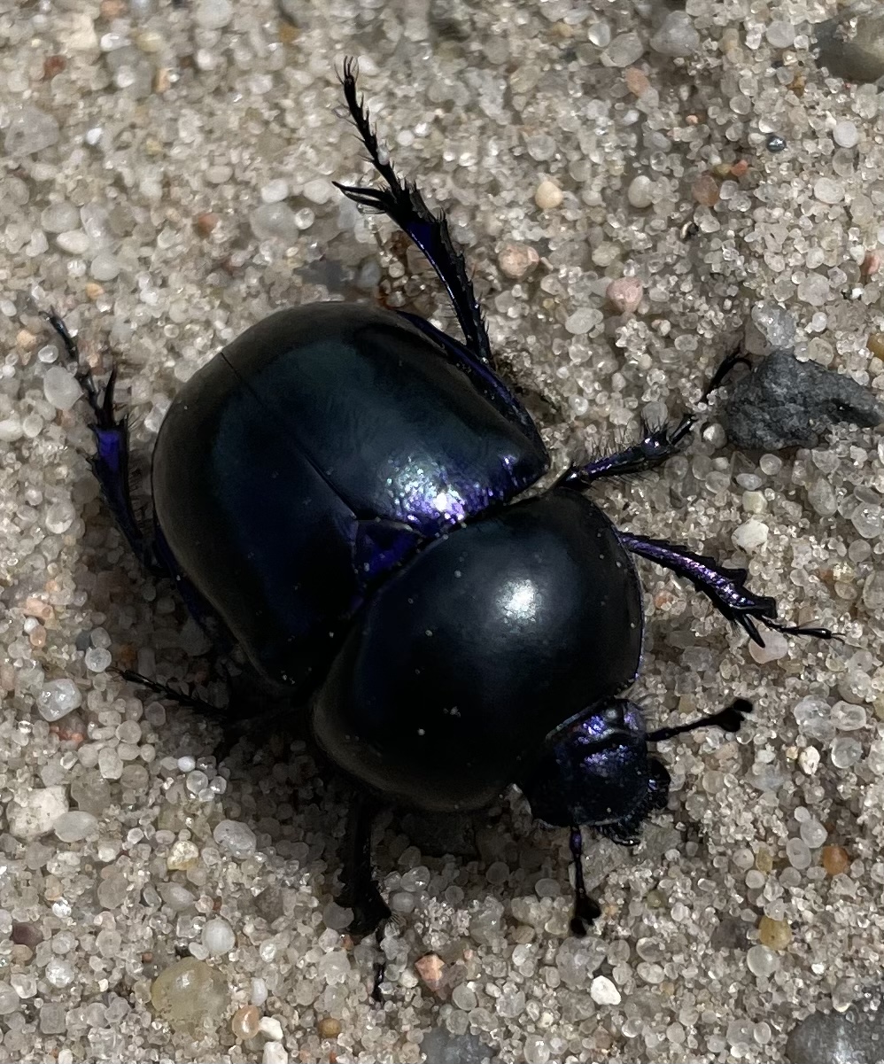 9A10229D-3EC8-4F4F-90A7-19B758A10AAE