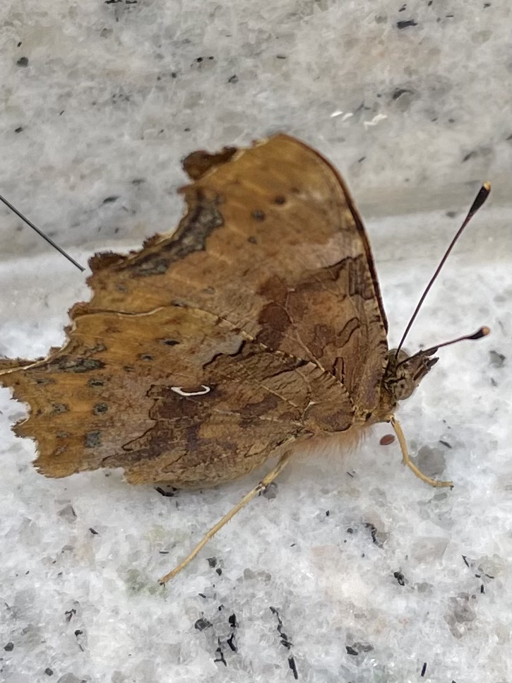 9A8B4304-B4E1-4F25-8E4E-195DE7B85643