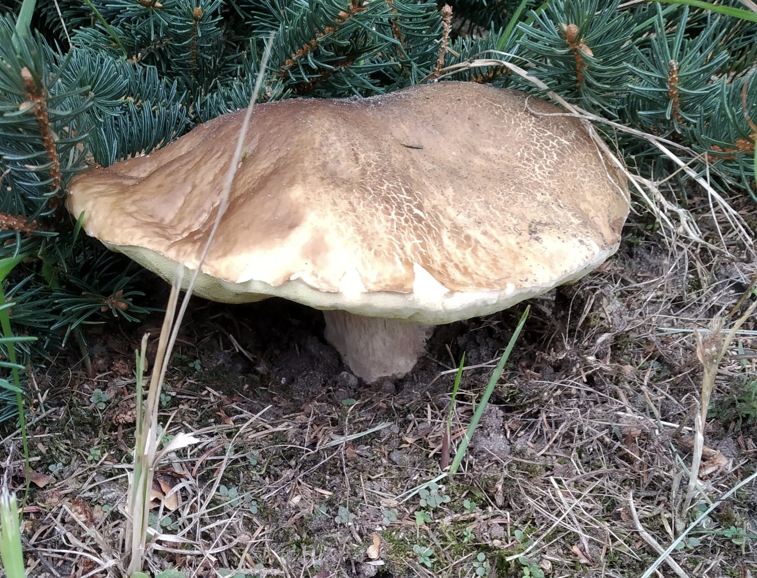 9AD533F1-AE19-4C08-AE04-DD9CF4C11CED