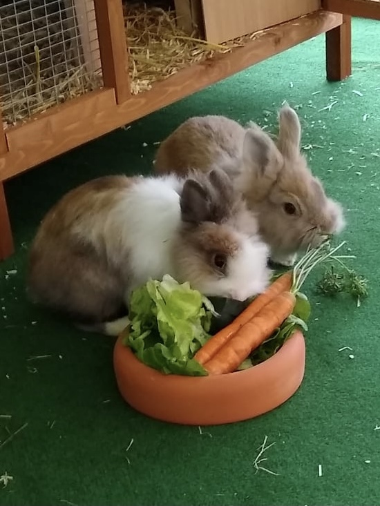 9B304373-91E8-46B9-978C-046F69E702B7