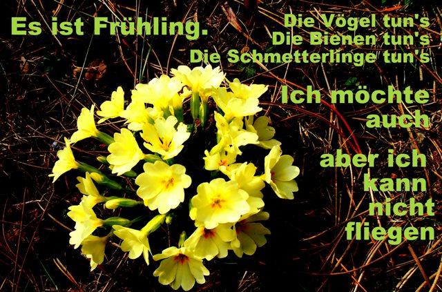 9B4D87E5-3675-4618-ACAD-725466EAB42D