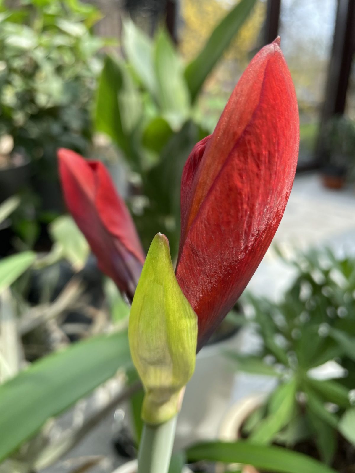 9B65A371-ECD7-48E0-B309-37B5E0A5AE9E