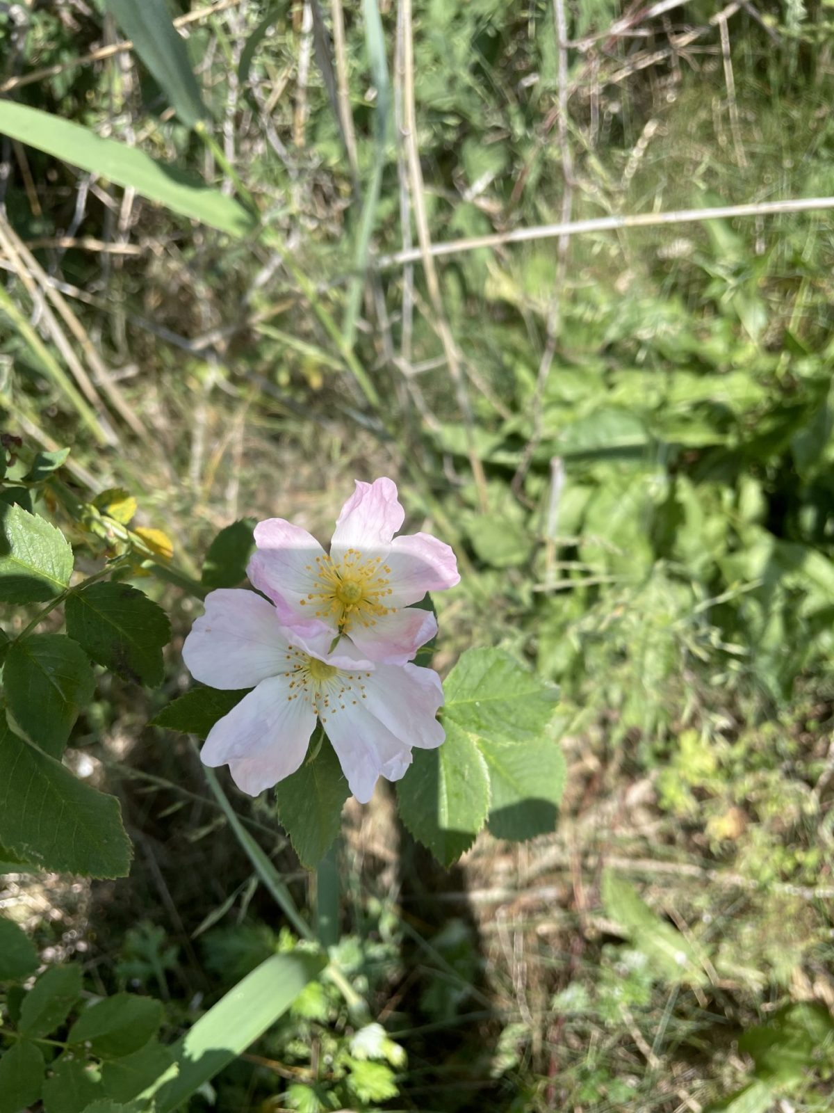 9BA7A304-E303-430C-9997-316CE6B2A6F8