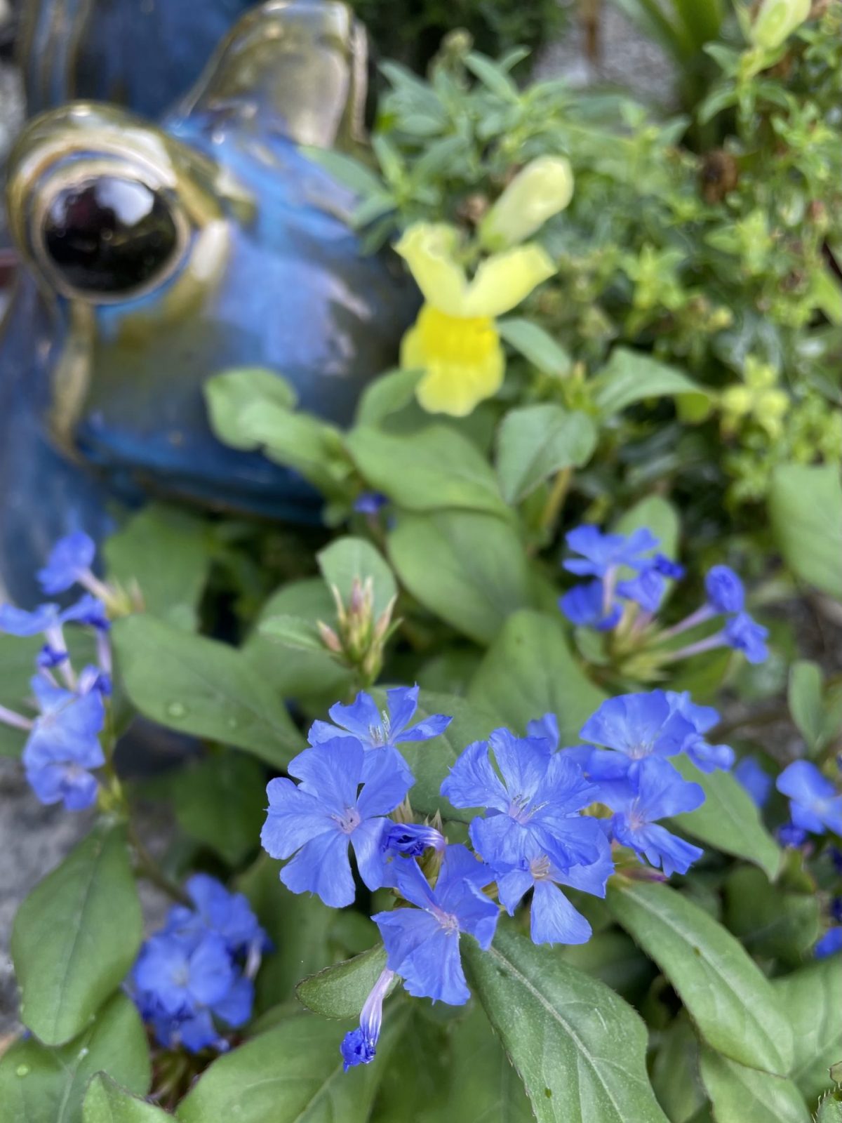 9BC0B58E-7985-437D-9C0F-7735EA2E1A4D