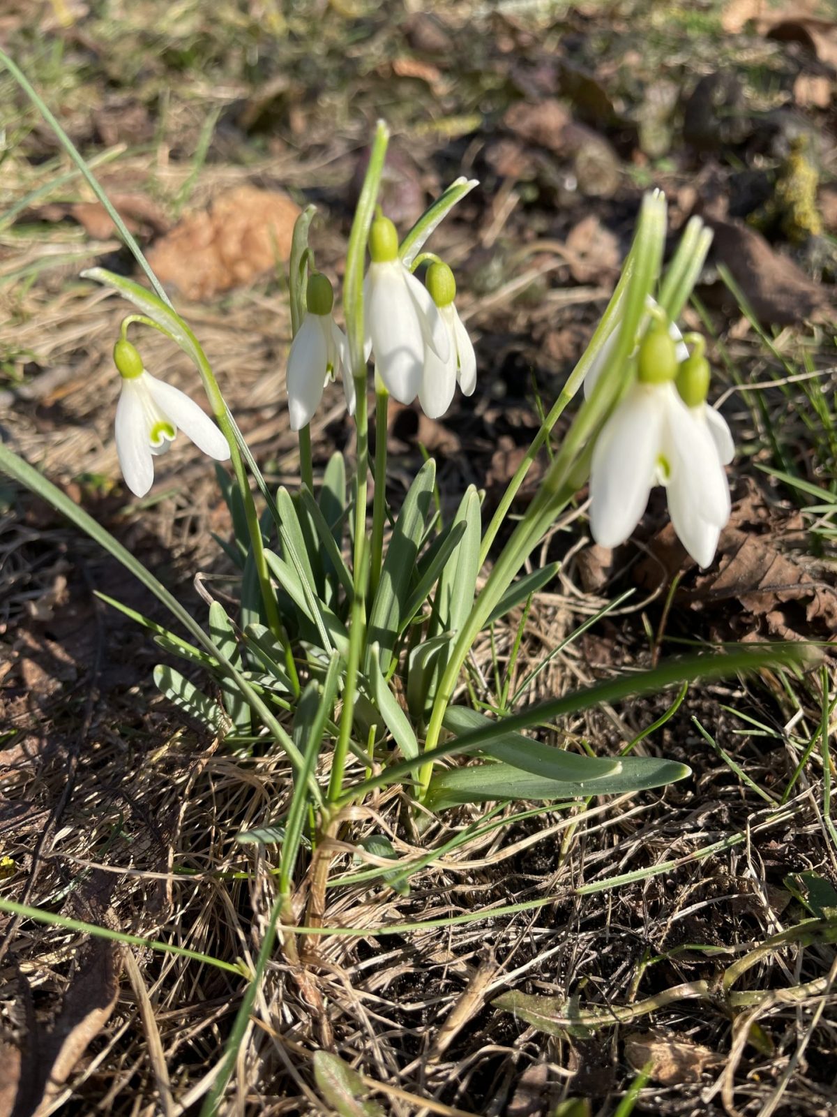 9BCED690-3318-4EE3-B3A1-E95BC008473C