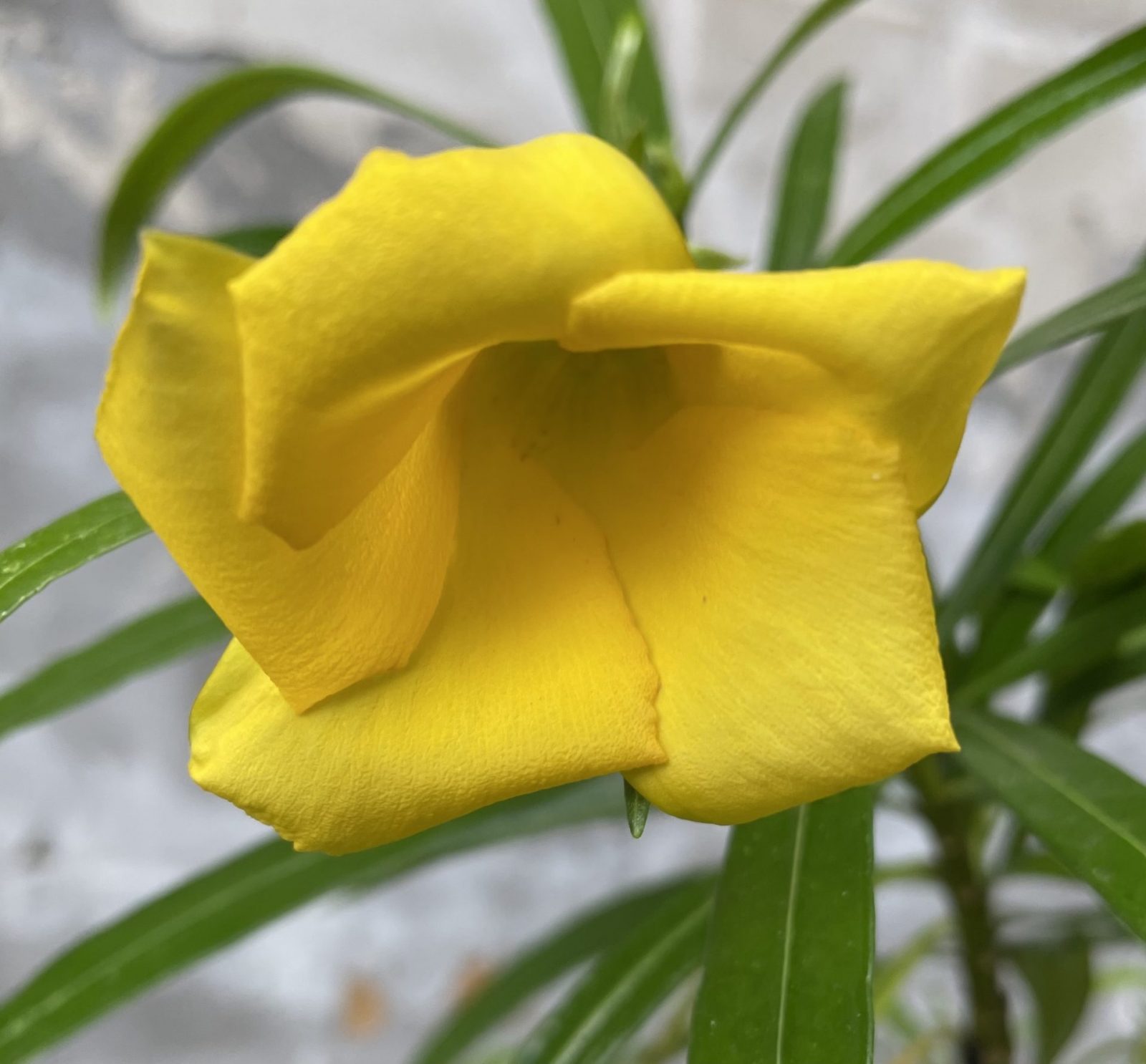 9BE75FA2-0759-4F15-8C82-88E728181EE9