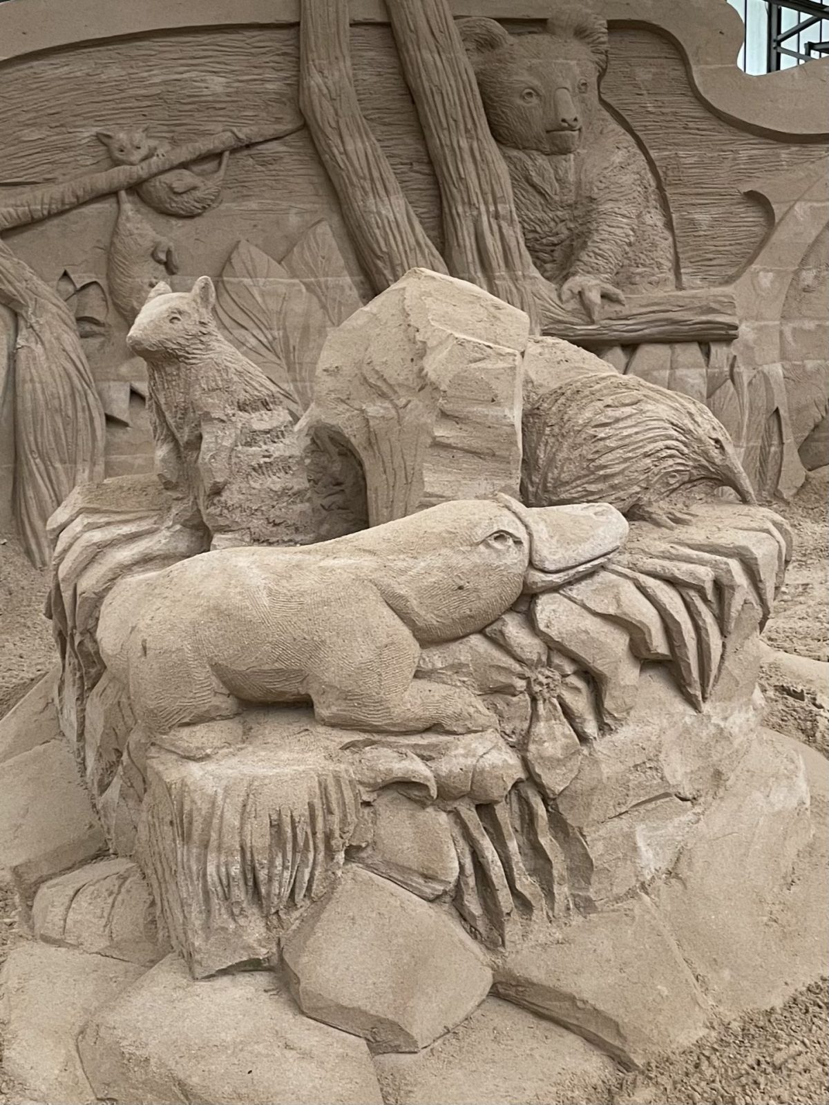 9C65E37C-8DD6-4A3C-AFD0-37E9E2E2BFA1