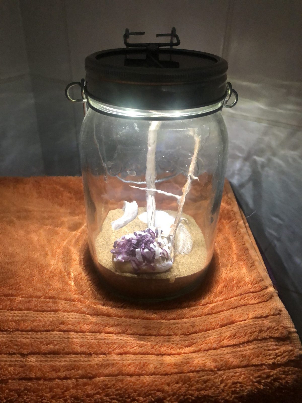 9C996473-6D39-4DDF-8A43-85CFC93B98B8