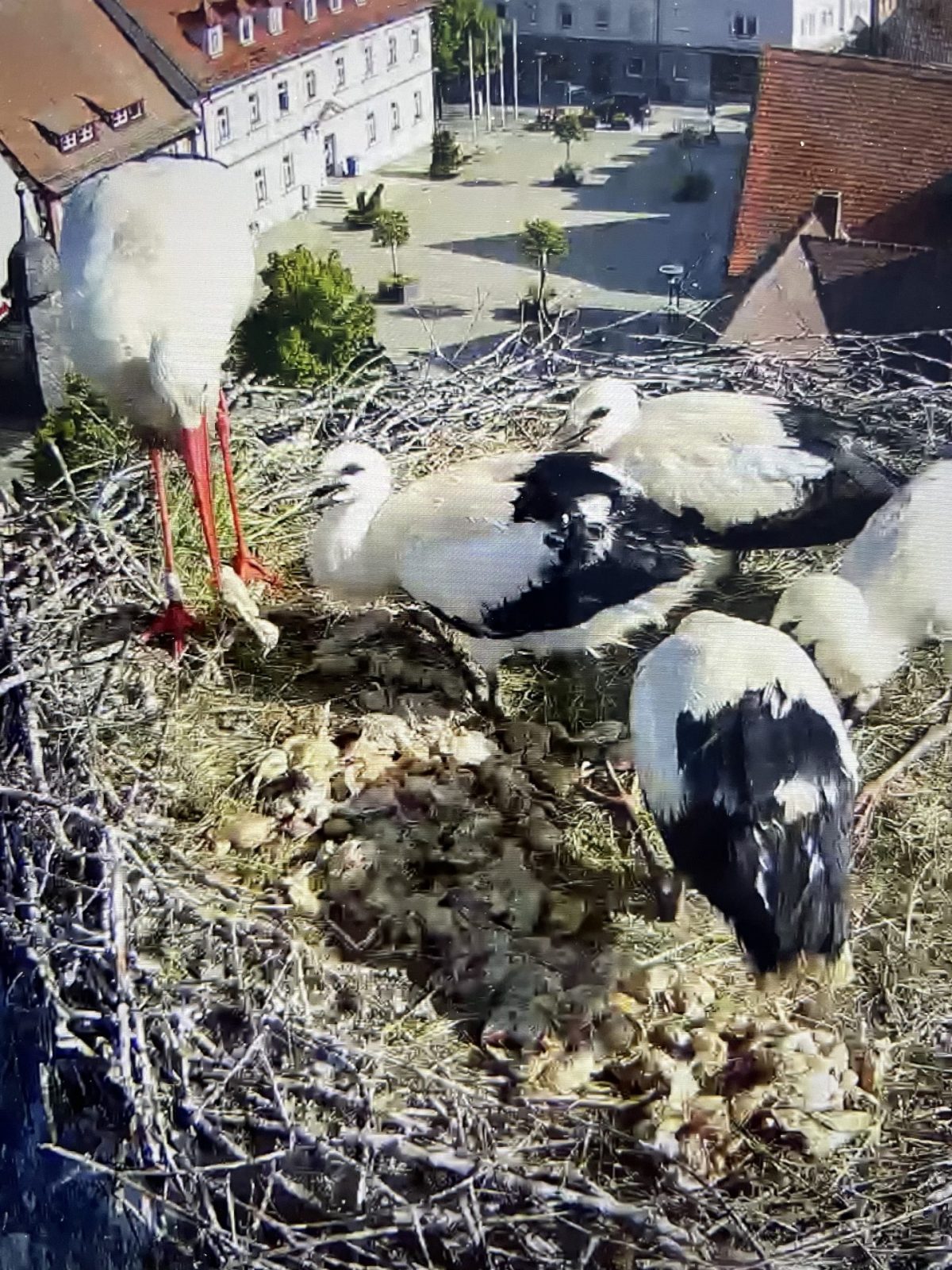 9CC32A0D-9E66-47C8-A0D0-03A32C386F31