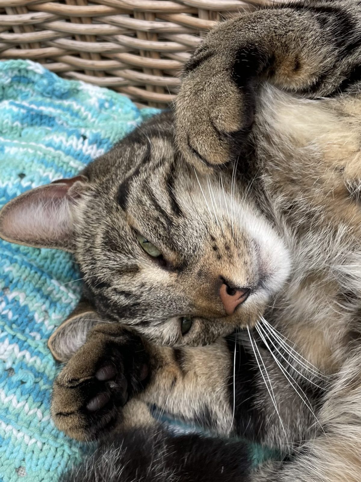 9CD6617A-92C3-4E41-B0DC-48F88581C90E