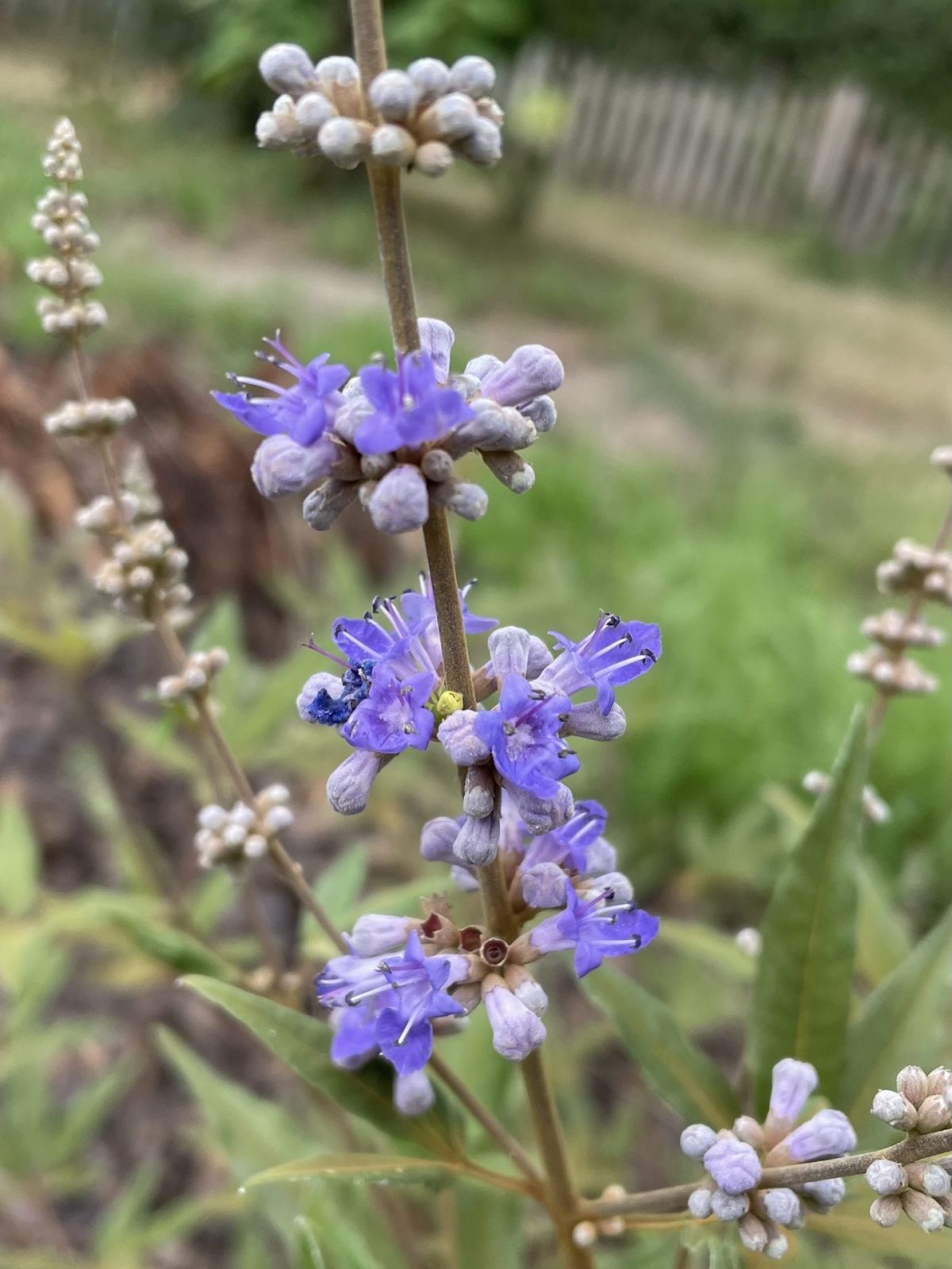 9CF429ED-F336-4C81-9CD1-11CBAACB2475