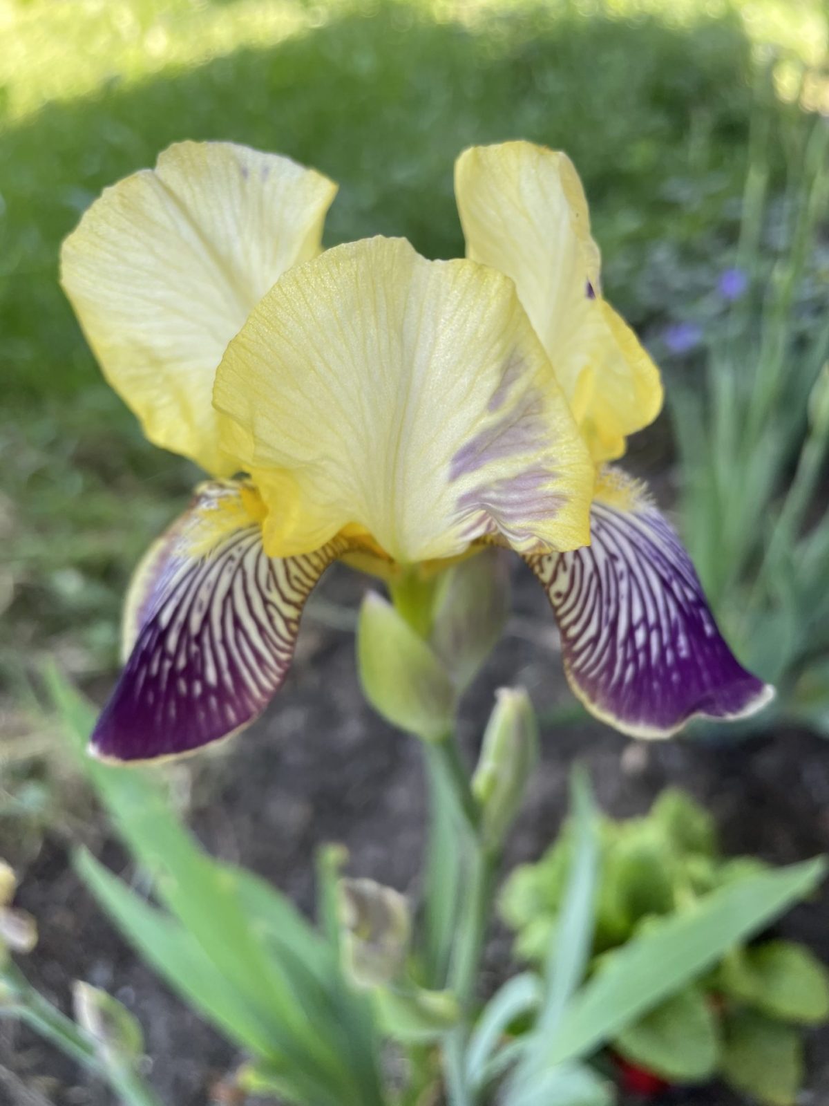 9D175CFC-9ACB-4003-A502-8834E99685EA